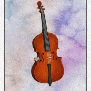 39. Cello