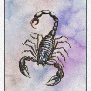 45. Scorpion